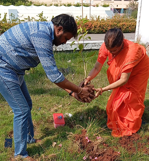tree-plantation